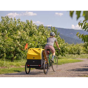 Bee Bike Trailer Single