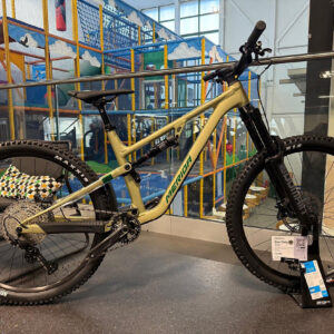 One-Sixty 500 - Long - Gold